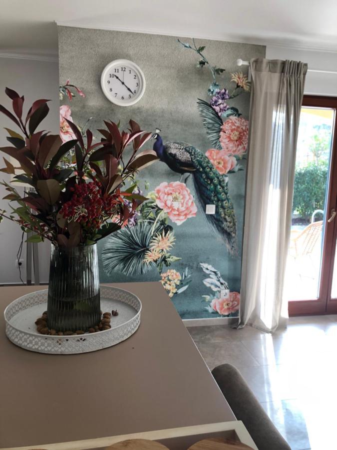 Private Villa "San Servolo House" With Sea View And Private Pool Buje Extérieur photo